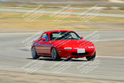 media/May-24-2025-Turn8 Trackdays (Sat) [[034586b55d]]/5 Inter 1/Session 2 (Cotton Corners-Grapevine)/
